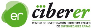 logo_ciberer