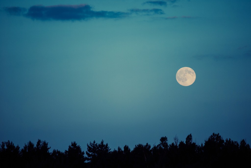 sky-clouds-trees-moon